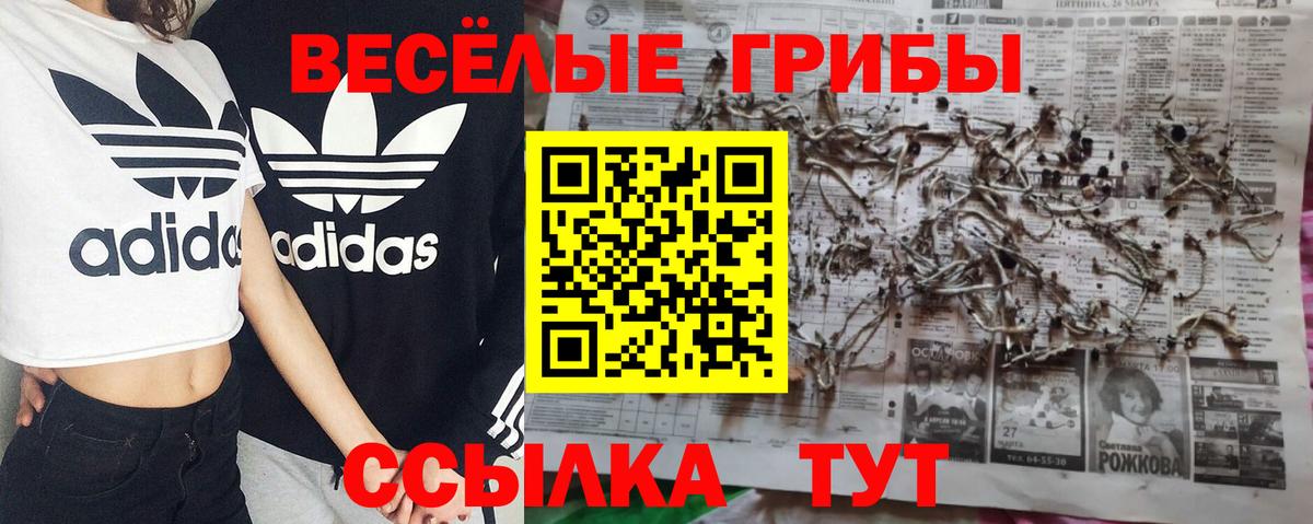 Псилоцибиновые грибы MAGIC MUSHROOMS  Галлюциногенные грибы MAGIC MUSHROOMS  Вход с VPN  Волжский 
