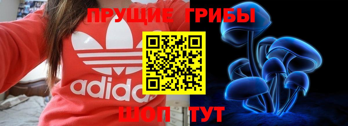 Галлюциногенные грибы мухоморы Волжский